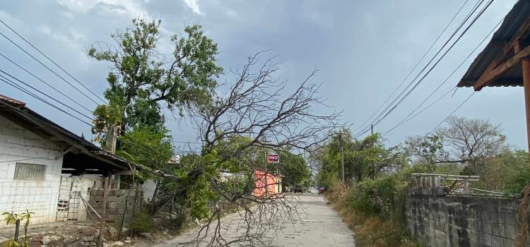 Fuertes ventarrones derriban estructuras