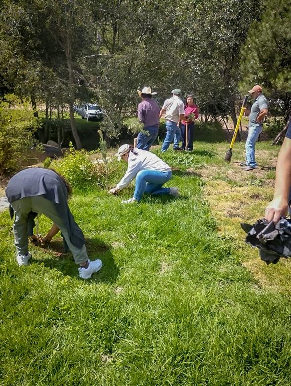 Concluye jornada de reforestación en Geoparque Comarca Minera