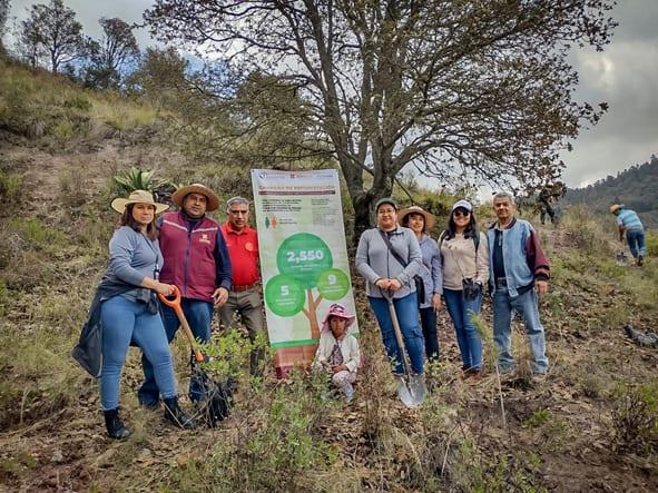 Concluye jornada de reforestación en Geoparque Comarca Minera