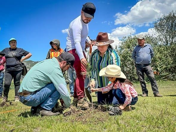 Concluye jornada de reforestación en Geoparque Comarca Minera