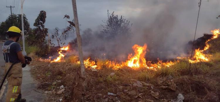 Sofocaron intenso incendio de pastizal