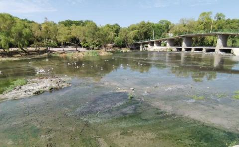 Río Valles quiere "volver a la vida"
