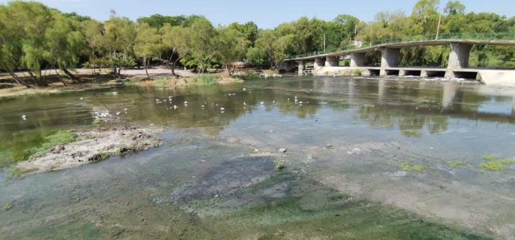 Río Valles quiere "volver a la vida"