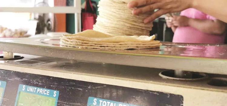 Maíz transgénico a masa y tortillas