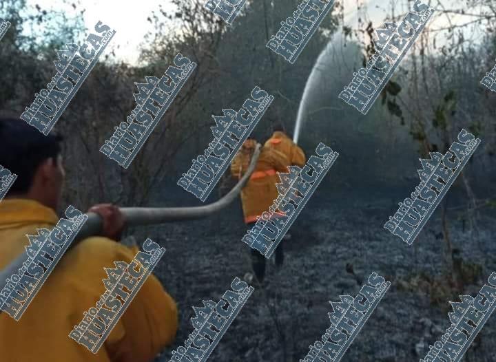 Incendio en escuela movilizó a cuerpos de auxilio