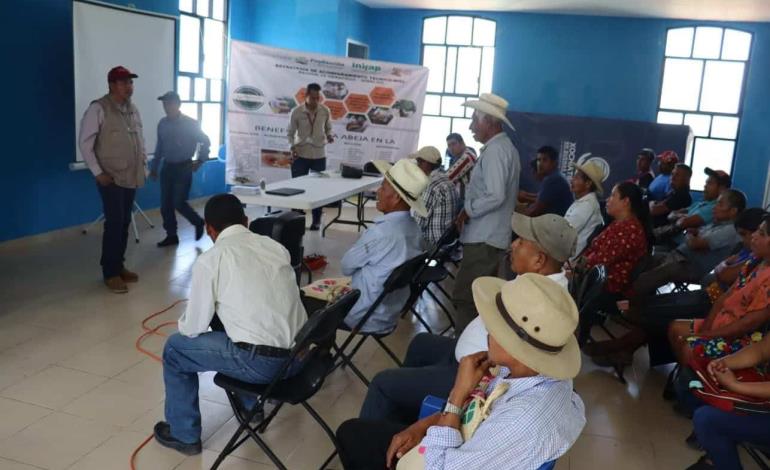 Capacitaron a apicultores en Xochiatipan