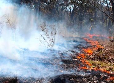 A la baja índice de los incendios