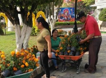 Tiraron las flores de cempasúchil