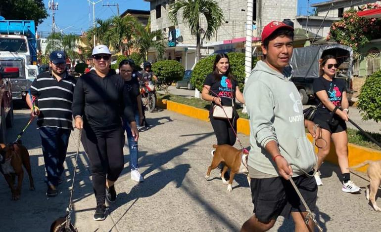 Buena respuesta a caminata con causa