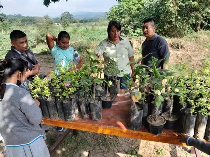 Entregaron plantas a planteles escolares