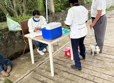 Vacunaron a perros y gatos