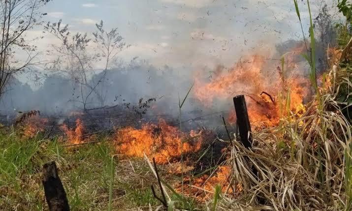 Protección Civil alerta por incendios