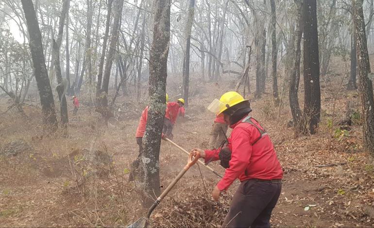 Incendio en Nicolás Flores controlado a cien por ciento