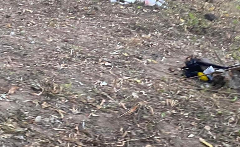 Aumentan quejas por basura en río