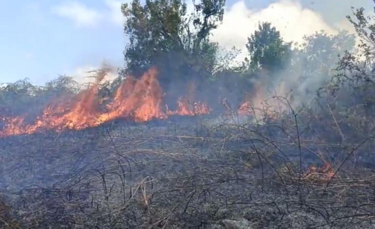 Protección Civil en alerta por incendios