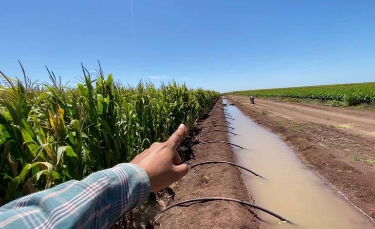 Agua de uso agrícola está en riesgo en ZM