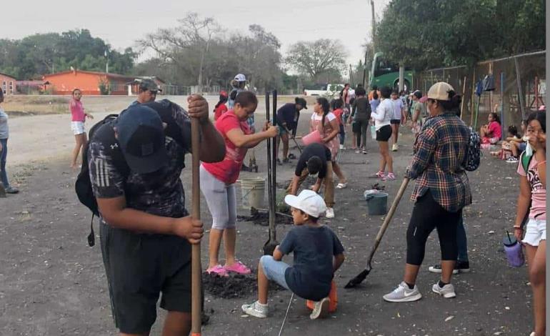 Reforestan en Ej. La Reforma