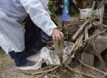 Jurisdicción Sanitaria invita a descacharrizar para evitar el dengue