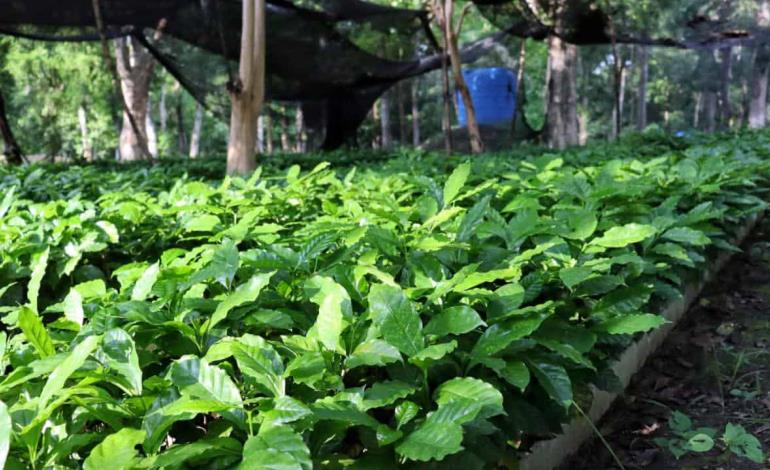 Entrega apoyos agropecuarios titular de Saderh en gira por la Sierra y Huasteca