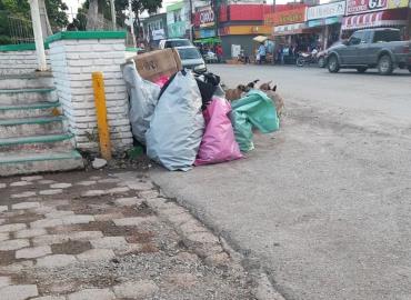 Caos por la basura