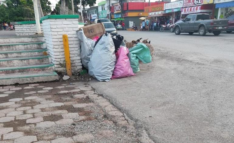 Caos por la basura