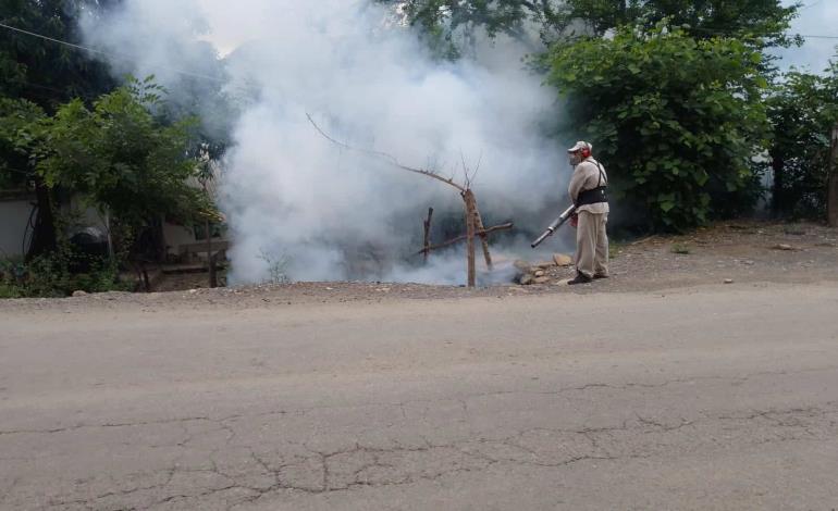 Reportan aumento en casos de dengue