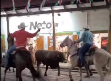 Toro invadió tienda comercial en San Martín