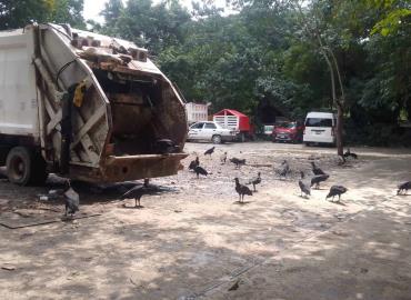 Insalubridad en el estacionamiento de Eco centralita