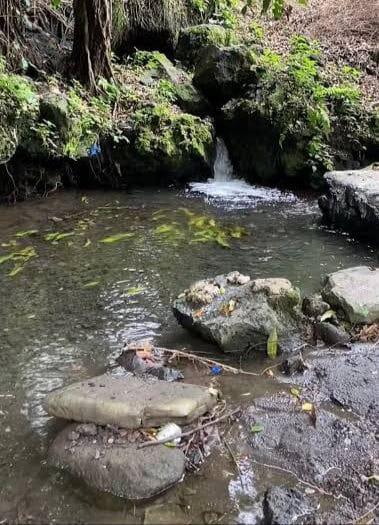 Piden cuidar losmantos acuíferos
