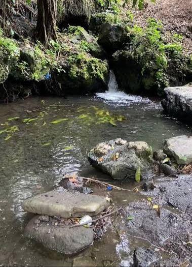 Piden cuidar losmantos acuíferos