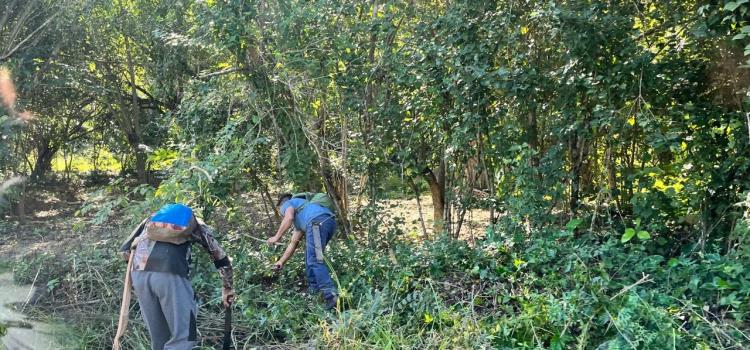 La SCT limpió tramo de Atlapexco