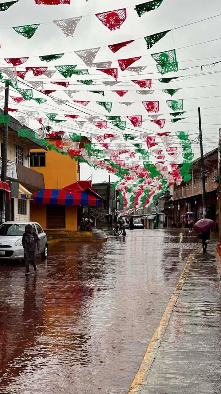 Se entregará más cacao este año