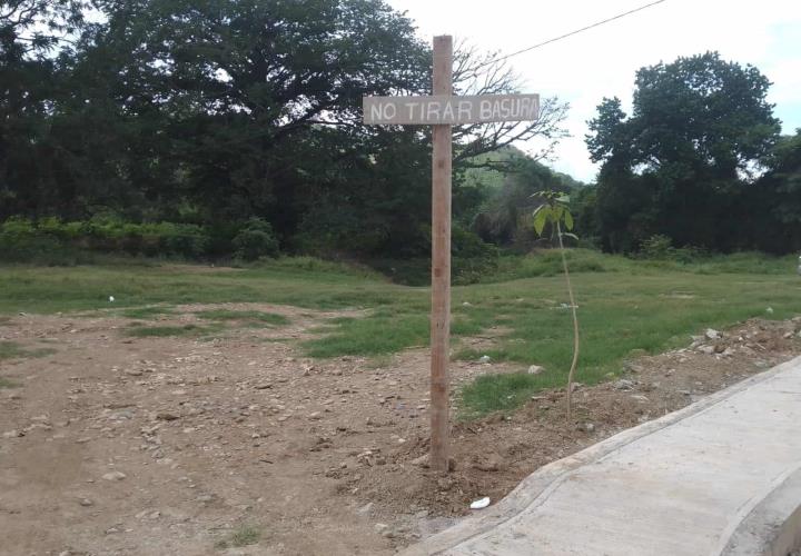 Siembran árboles en "La Playita"