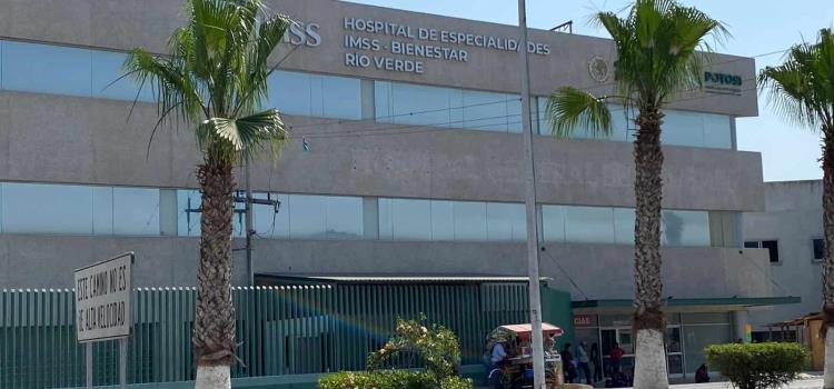 De 9 a 12 personas son internadas por Dengue