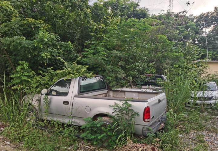 Cementerio de patrullas también son nido de zancudos