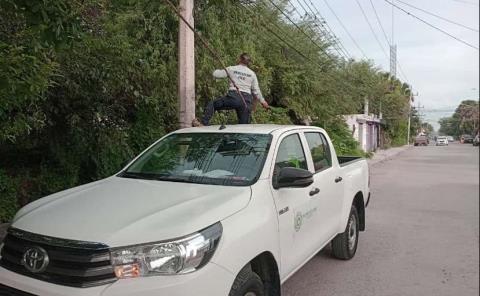 Protección Civil atendió reporte
