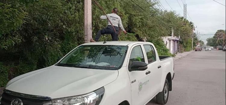 Protección Civil atendió reporte