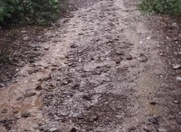 Caminos rurales en mal estado 