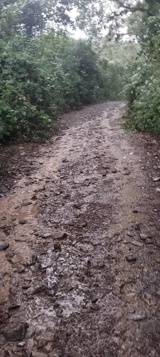 Caminos rurales en mal estado 