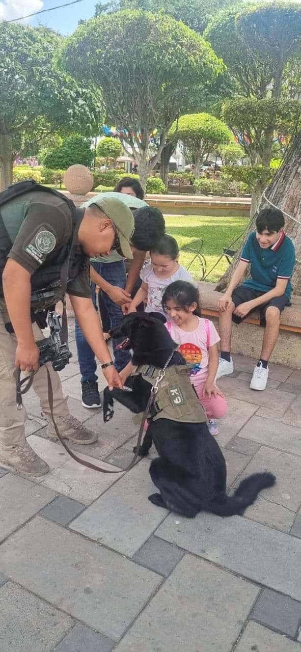 Agrupamiento canino exhibió Guardia Civil