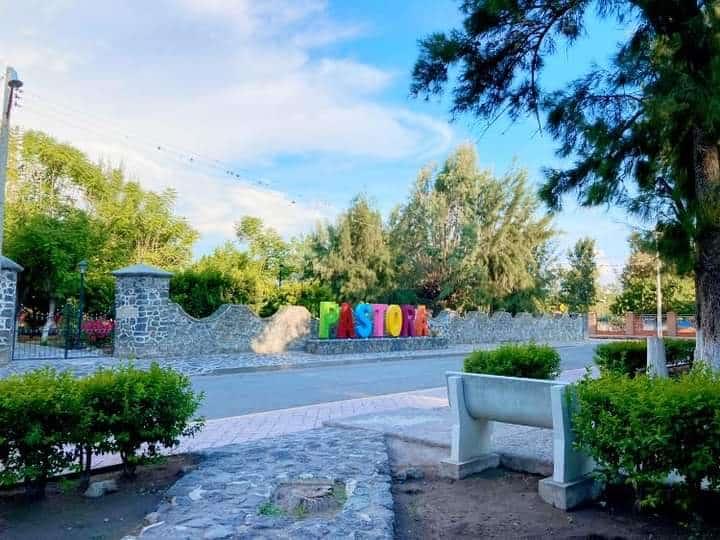 Reforestarán la plaza de Pastora