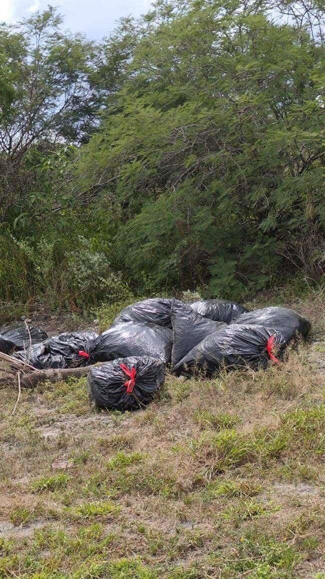 2 ejidos afectados por tiradero ilegal de basura