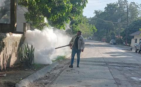 Planean por fin, fumigación para Tamán