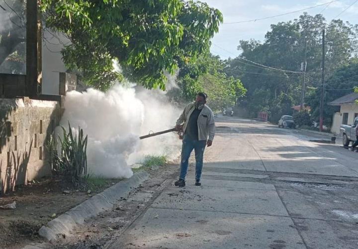 Planean por fin, fumigación para Tamán