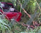 Camioneta se salió de la cinta asfáltica