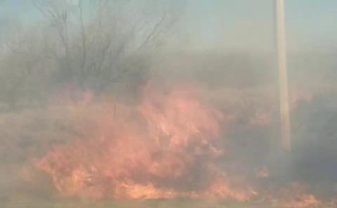 Controlaron incendio en predio abandonado
