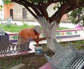 Mejoran el aspecto de la Plaza en Chapulhuacanito
