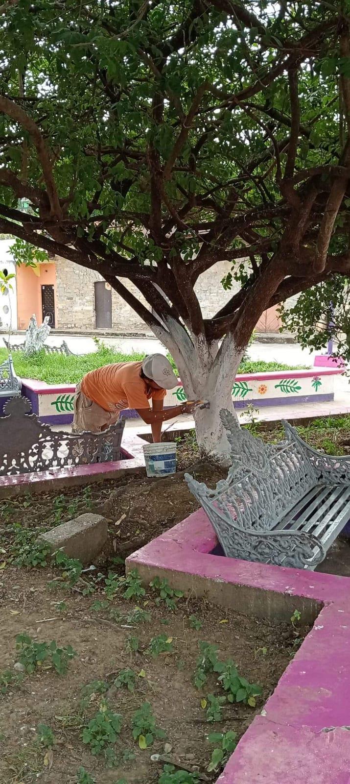 Mejoran el aspecto de la Plaza en Chapulhuacanito Mejoran el aspecto de la Plaza en Chapulhuacanito