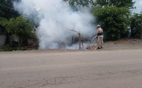 Realizan recorridos para evitar la propagación del mosquito