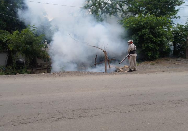 Realizan recorridos para evitar la propagación del mosquito